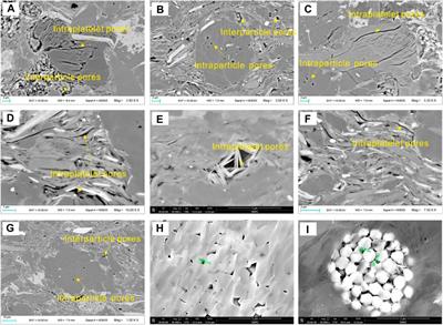 Resercoir space characteristics and pore structure of Jurassic Lianggaoshan Formation lacustrine shale reservoir in Sichuan Basin, China: Insights into controlling factors